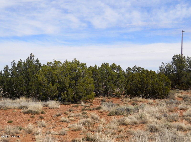 4098 East Pinto Road Snowflake, AZ 85937 - Photo 20 of 43