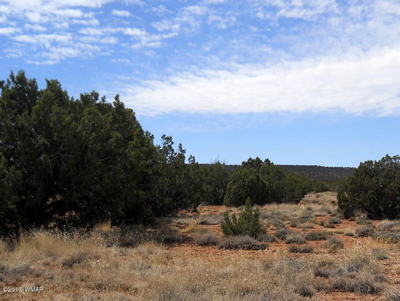 4098 East Pinto Road Snowflake, AZ 85937 - Photo 2 of 43