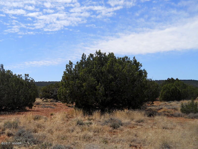 4098 East Pinto Road Snowflake, AZ 85937 - Photo 22 of 43