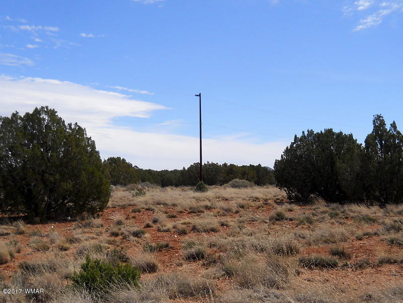 4098 East Pinto Road Snowflake, AZ 85937 - Photo 23 of 43