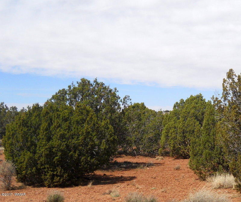 4098 East Pinto Road Snowflake, AZ 85937 - Photo 24 of 43