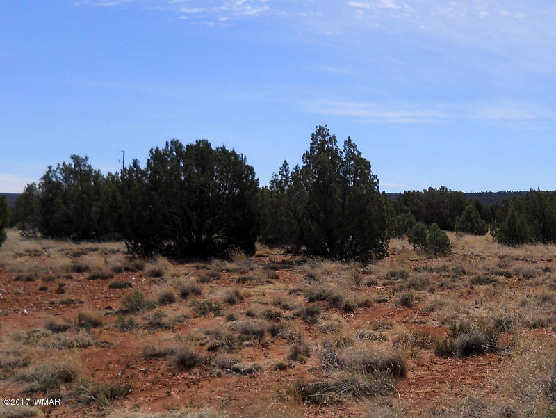 4098 East Pinto Road Snowflake, AZ 85937 - Photo 25 of 43