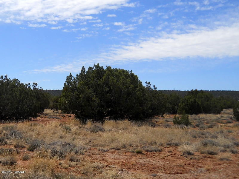 4098 East Pinto Road Snowflake, AZ 85937 - Photo 26 of 43