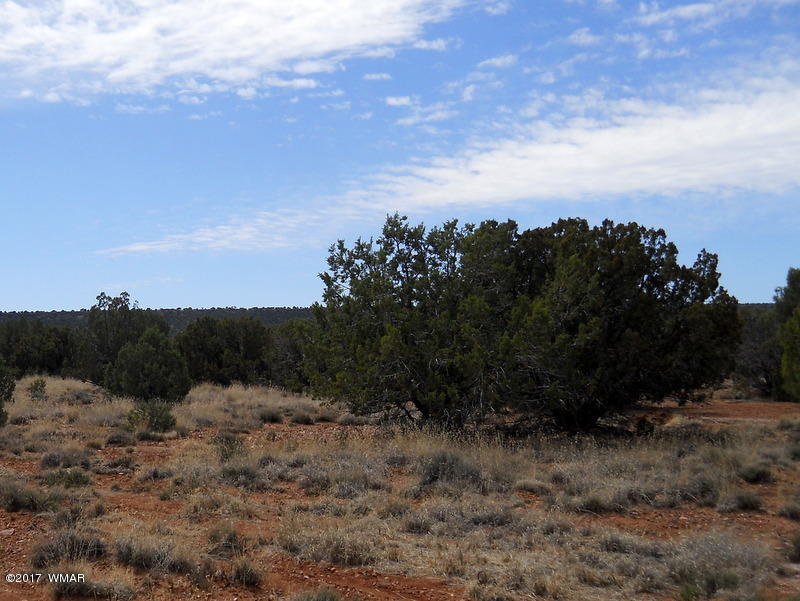 4098 East Pinto Road Snowflake, AZ 85937 - Photo 27 of 43