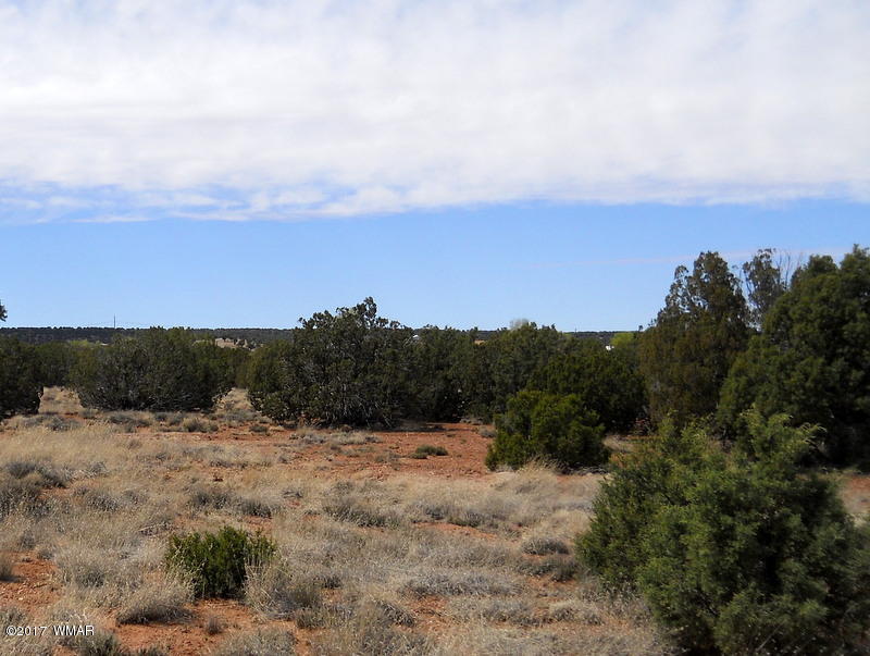 4098 East Pinto Road Snowflake, AZ 85937 - Photo 28 of 43