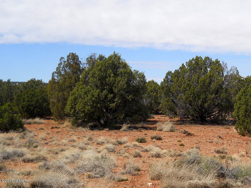 4098 East Pinto Road Snowflake, AZ 85937 - Photo 29 of 43