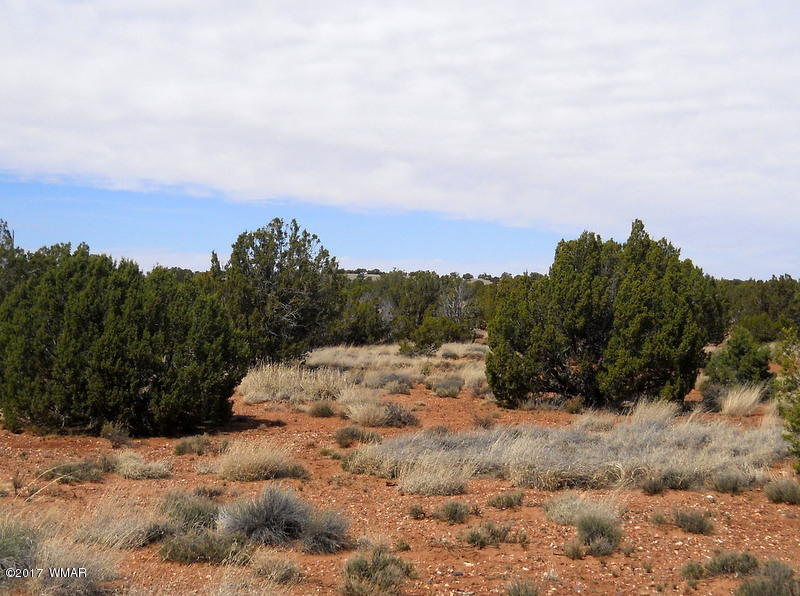 4098 East Pinto Road Snowflake, AZ 85937 - Photo 30 of 43