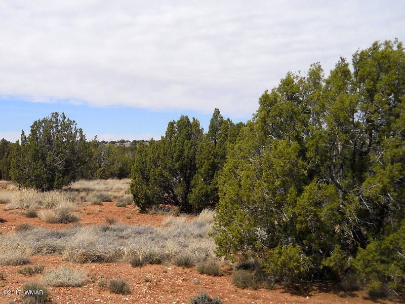 4098 East Pinto Road Snowflake, AZ 85937 - Photo 3 of 43