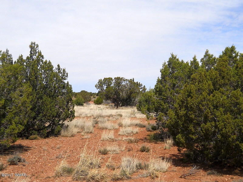 4098 East Pinto Road Snowflake, AZ 85937 - Photo 31 of 43