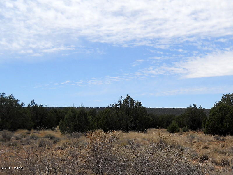 4098 East Pinto Road Snowflake, AZ 85937 - Photo 32 of 43