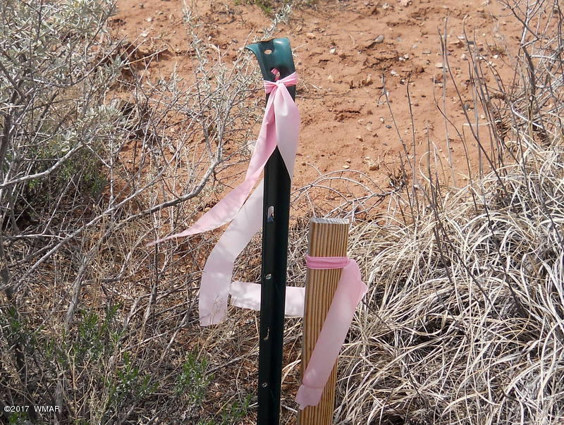 4098 East Pinto Road Snowflake, AZ 85937 - Photo 33 of 43
