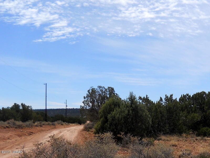 4098 East Pinto Road Snowflake, AZ 85937 - Photo 34 of 43