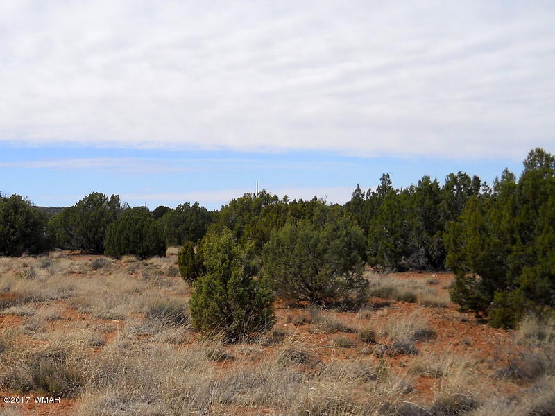 4098 East Pinto Road Snowflake, AZ 85937 - Photo 35 of 43