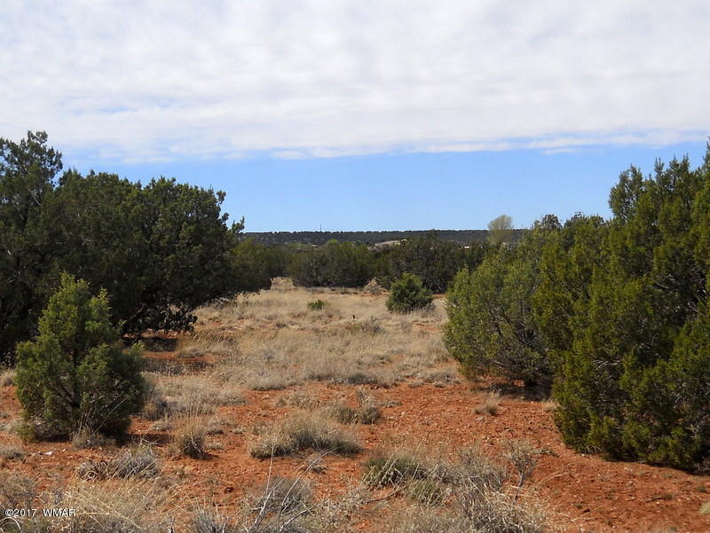4098 East Pinto Road Snowflake, AZ 85937 - Photo 36 of 43