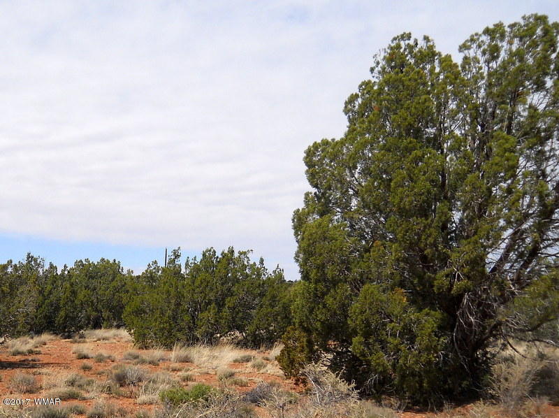 4098 East Pinto Road Snowflake, AZ 85937 - Photo 38 of 43