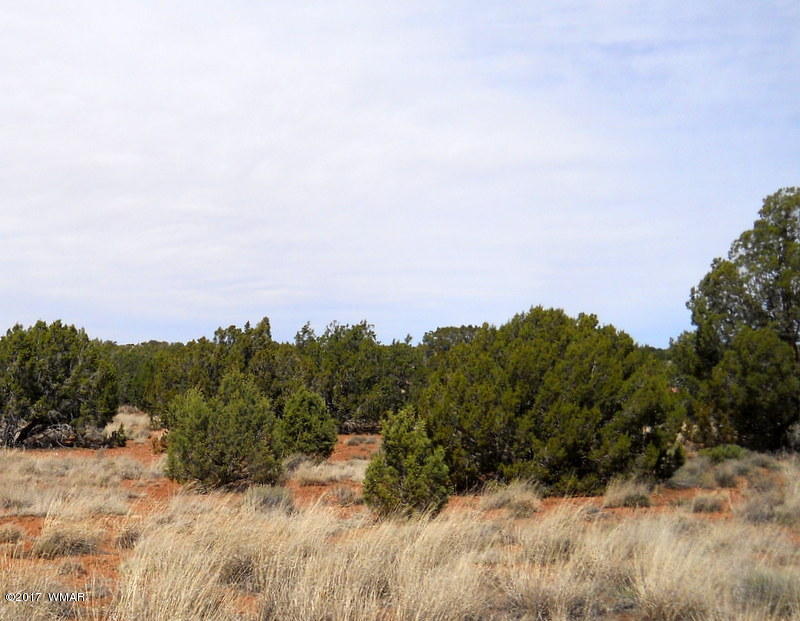 4098 East Pinto Road Snowflake, AZ 85937 - Photo 39 of 43