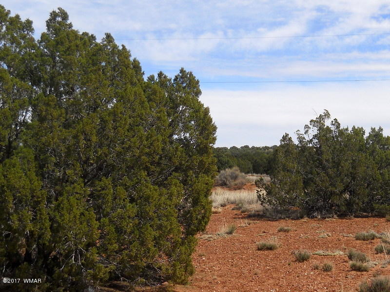 4098 East Pinto Road Snowflake, AZ 85937 - Photo 4 of 43