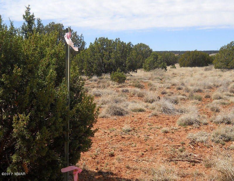 4098 East Pinto Road Snowflake, AZ 85937 - Photo 41 of 43