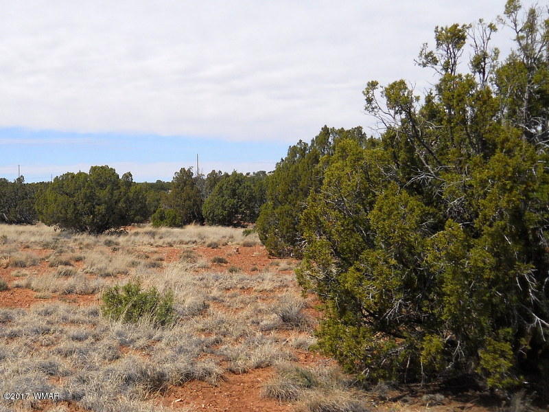 4098 East Pinto Road Snowflake, AZ 85937 - Photo 42 of 43