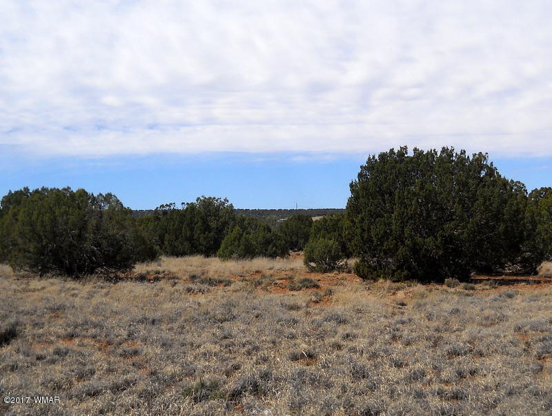 4098 East Pinto Road Snowflake, AZ 85937 - Photo 43 of 43