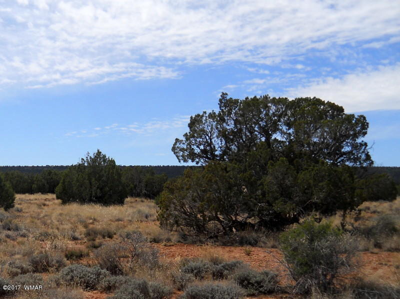 4098 East Pinto Road Snowflake, AZ 85937 - Photo 5 of 43
