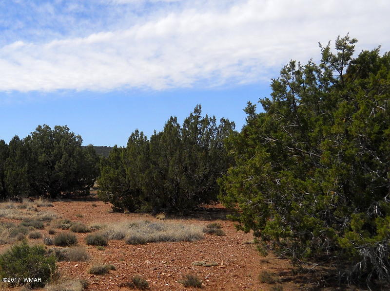 4098 East Pinto Road Snowflake, AZ 85937 - Photo 6 of 43