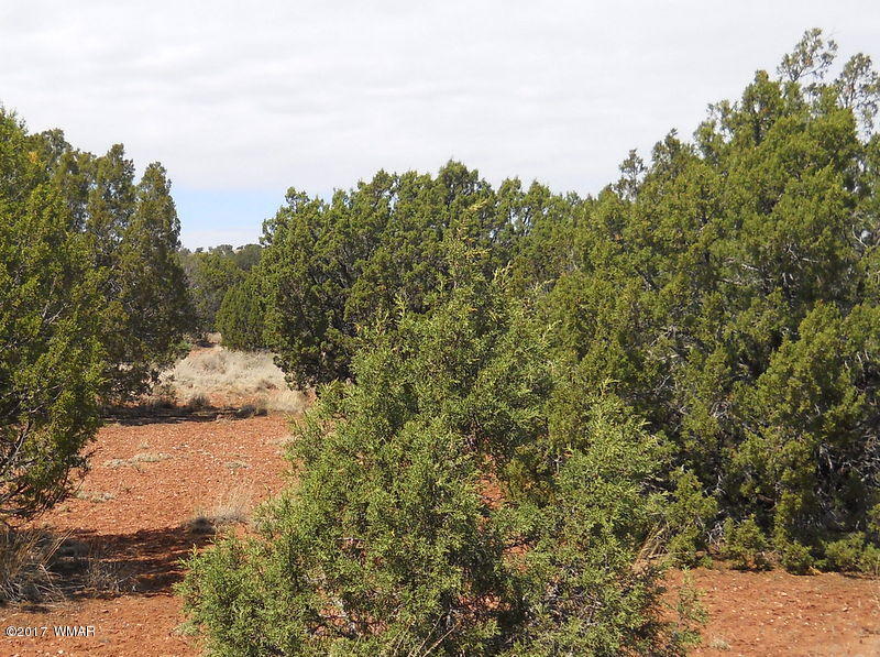 4098 East Pinto Road Snowflake, AZ 85937 - Photo 7 of 43