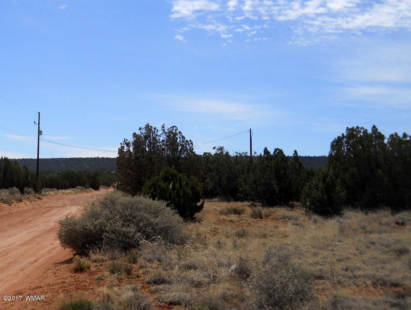 4098 East Pinto Road Snowflake, AZ 85937 - Photo 8 of 43