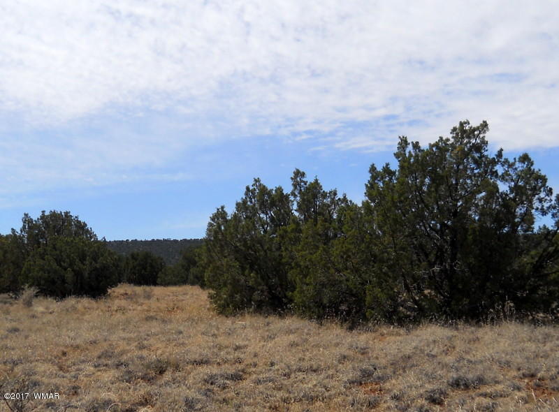 4098 East Pinto Road Snowflake, AZ 85937 - Photo 9 of 43