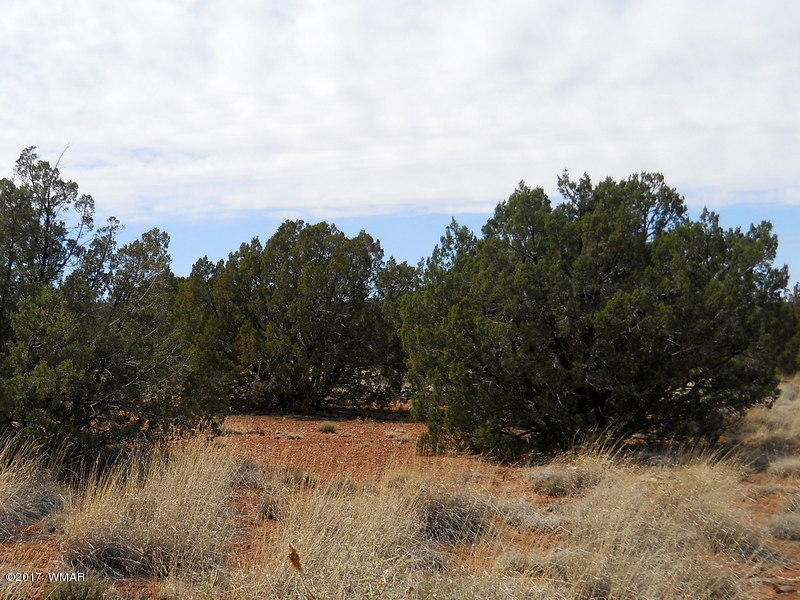 4098 East Pinto Road Snowflake, AZ 85937 - Photo 10 of 43