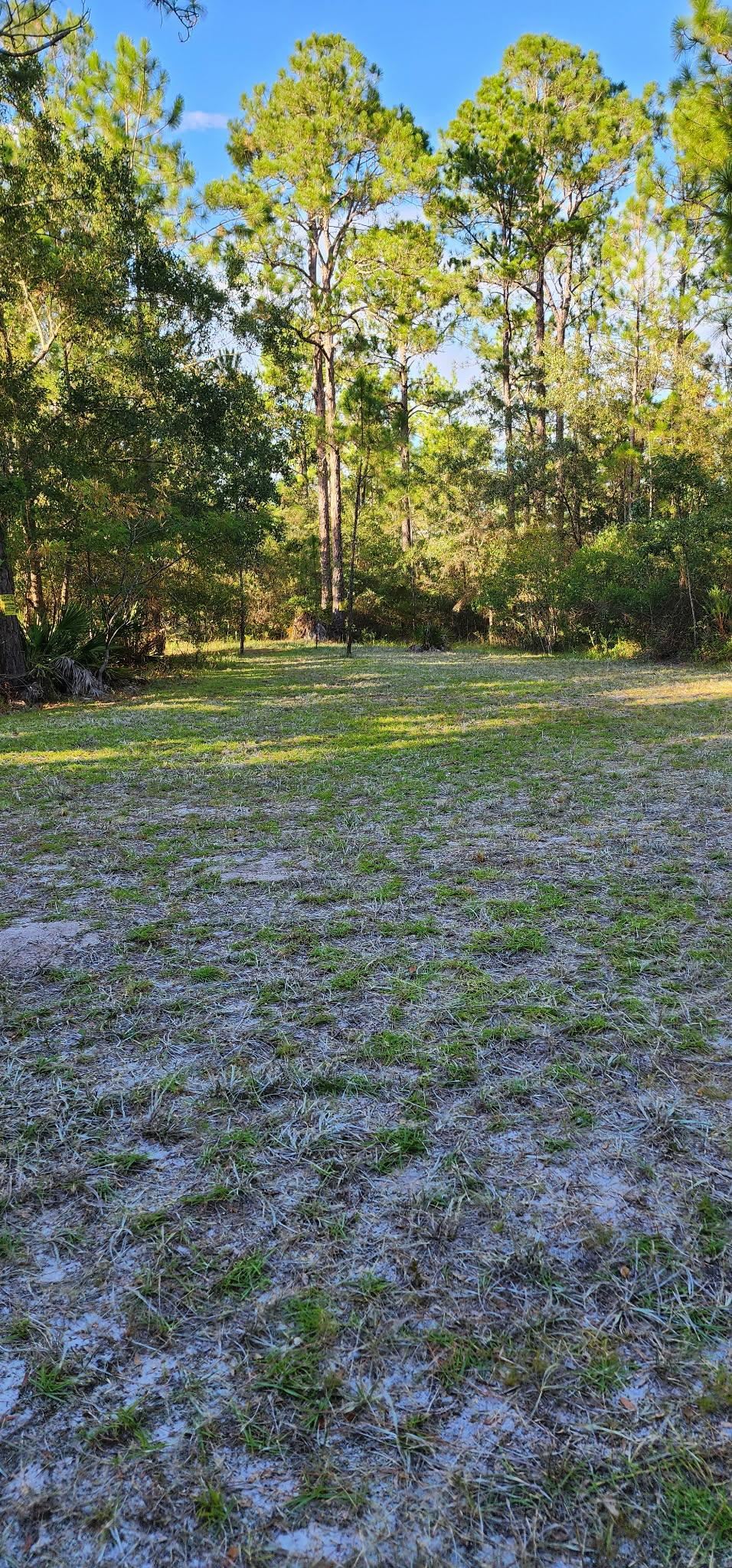 152 Sam Marks Road Crawfordville, FL 32327 - Photo 16 of 18 Gallery Image 16