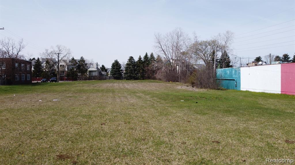 31227 Dequindre Road Madison Heights, MI 48071 - Photo 5 of 10