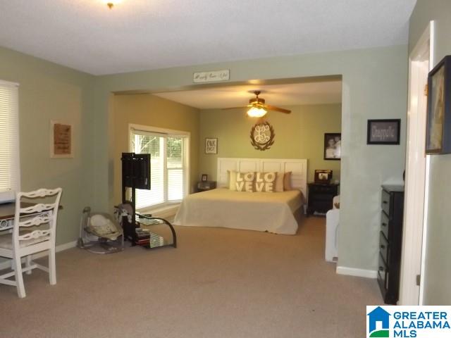 812 Sunshine Avenue Oneonta, AL 35121 - Photo 30 of 47