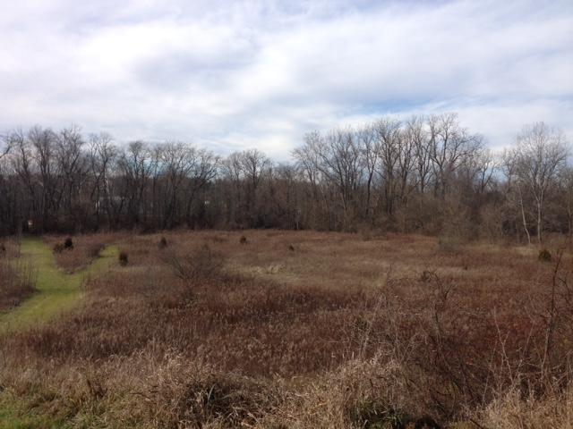 0 Warren Road Delaware, OH 43015 - Photo 2 of 5