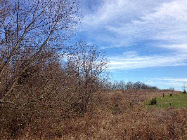 0 Warren Road Delaware, OH 43015 - Photo 3 of 5