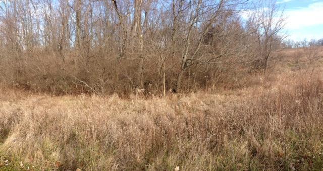 0 Warren Road Delaware, OH 43015 - Photo 4 of 5