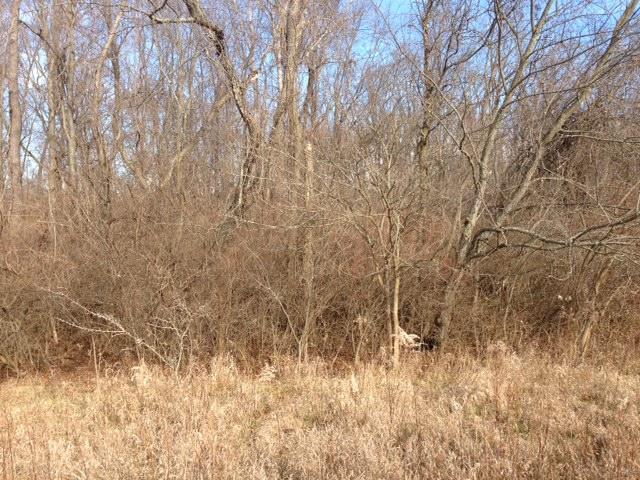 0 Warren Road Delaware, OH 43015 - Photo 5 of 5