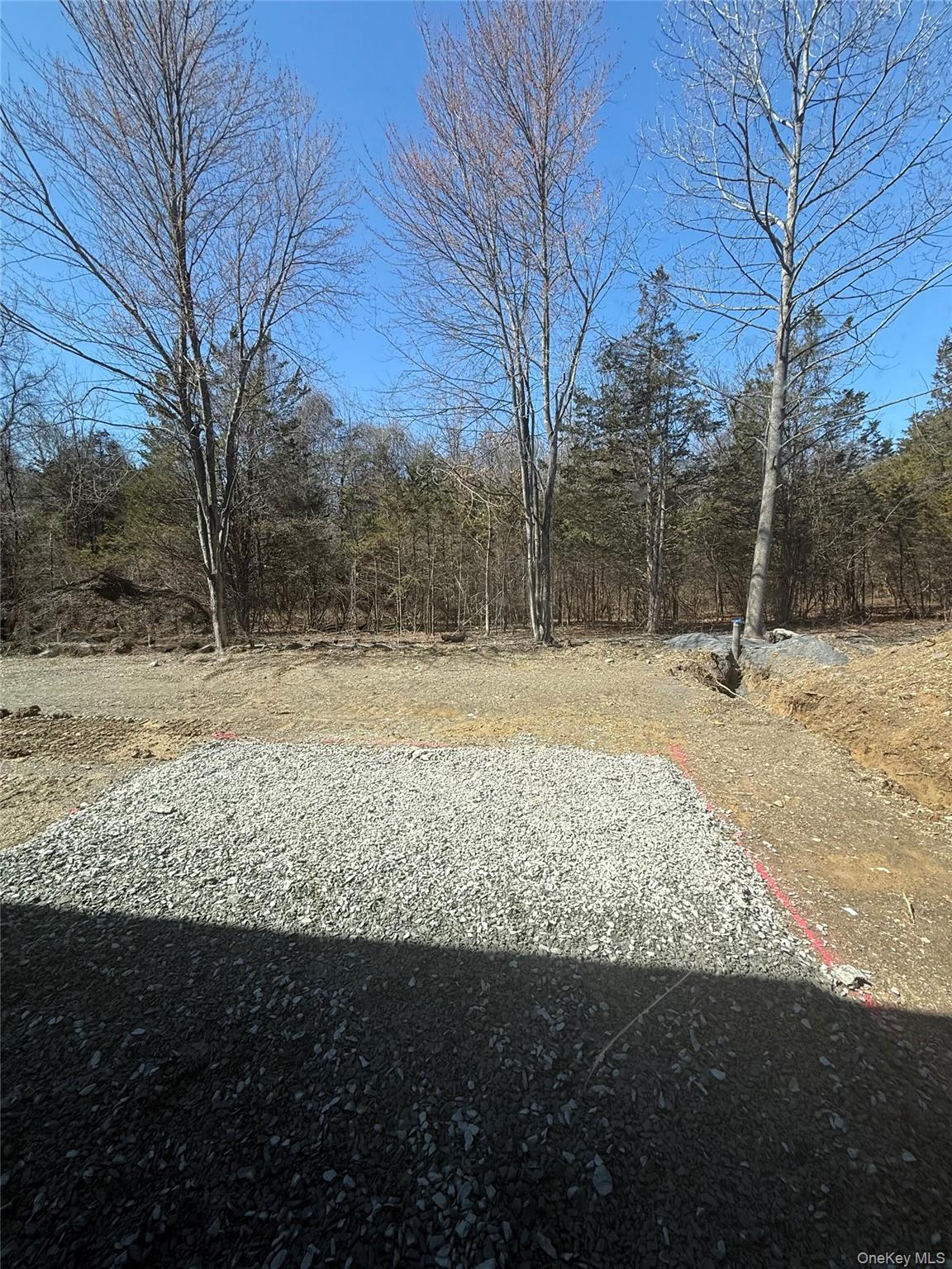493 Union Corners Road Florida, NY 10921 - Photo 26 of 26 a view of outdoor space with trees