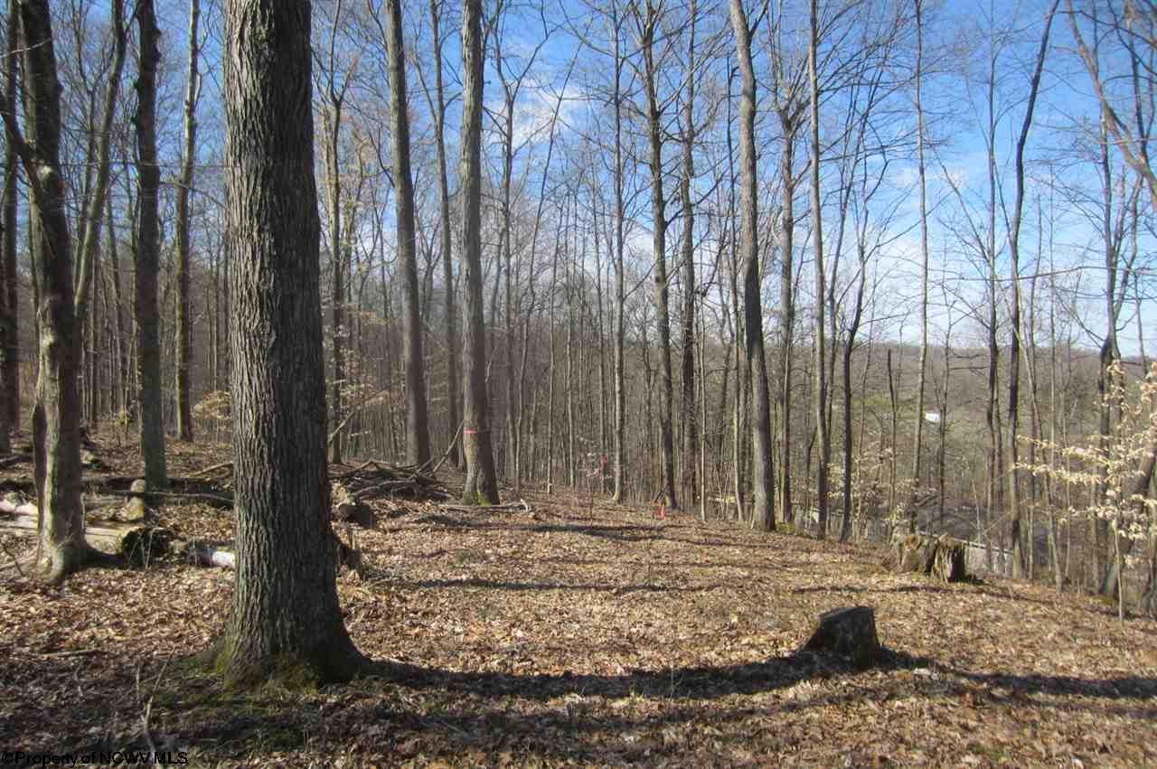 Tbd Sandy Holw Road Bridgeport, WV 26330 - Photo 15 of 20 Gallery Image 15
