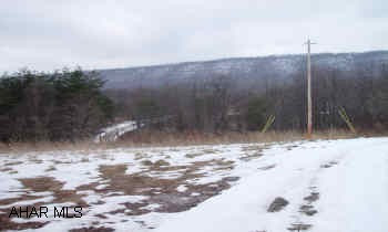 Lot#2 Black Bear Road Mill Hall, PA 17751 - Photo 1 of 1 Gallery Image 1