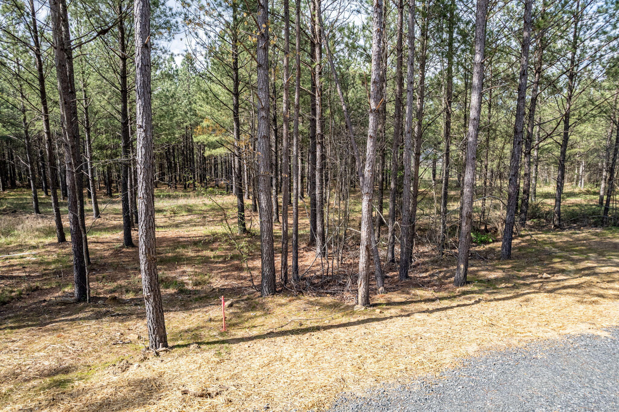 0 Worley Road, Unit LOT 4 Soddy Daisy, TN 37379 - Photo 48 of 67 57-web-or-mls-10929-worley-rd