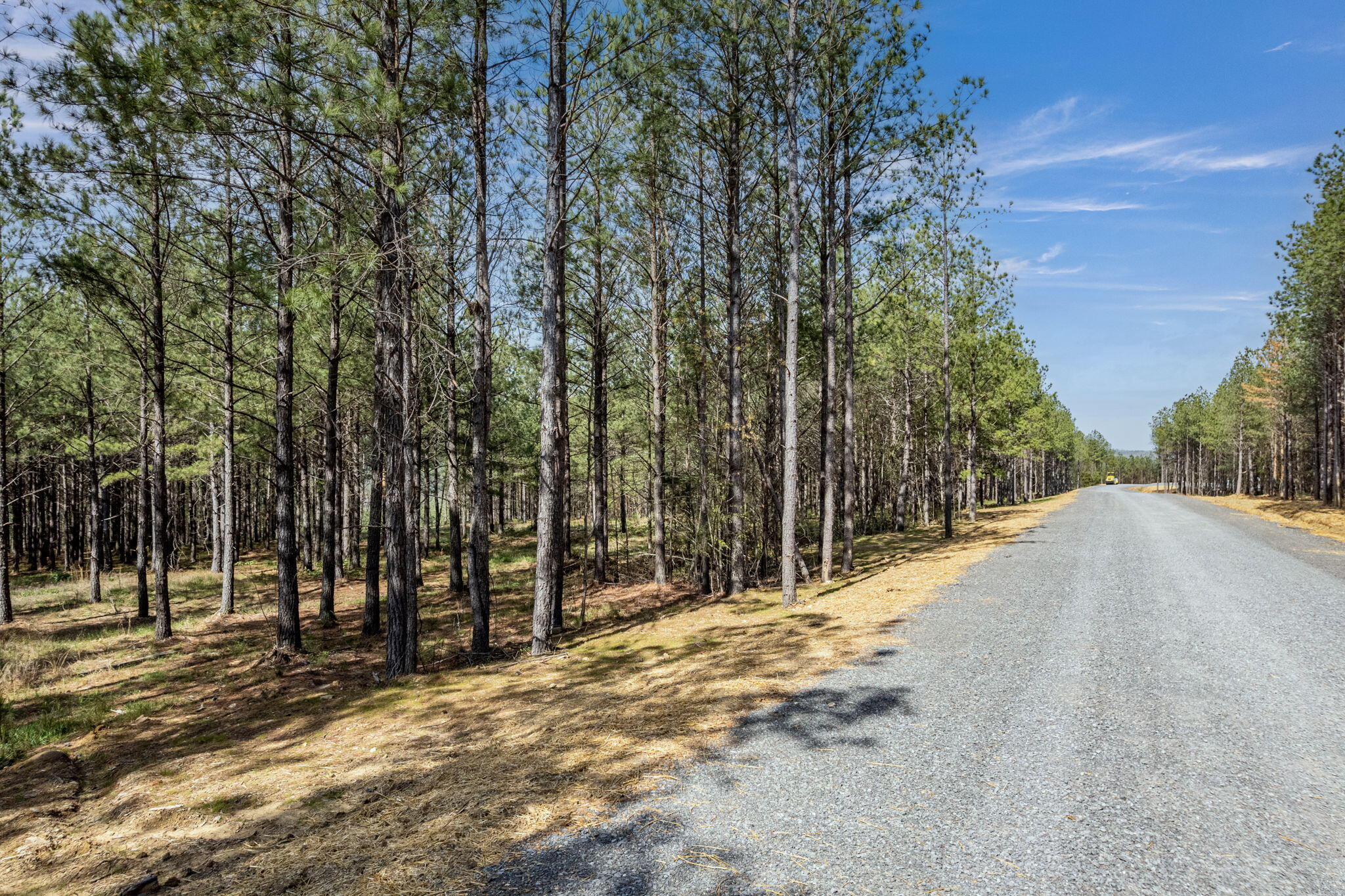 0 Worley Road, Unit LOT 4 Soddy Daisy, TN 37379 - Photo 67 of 67 38-web-or-mls-10929-worley-rd