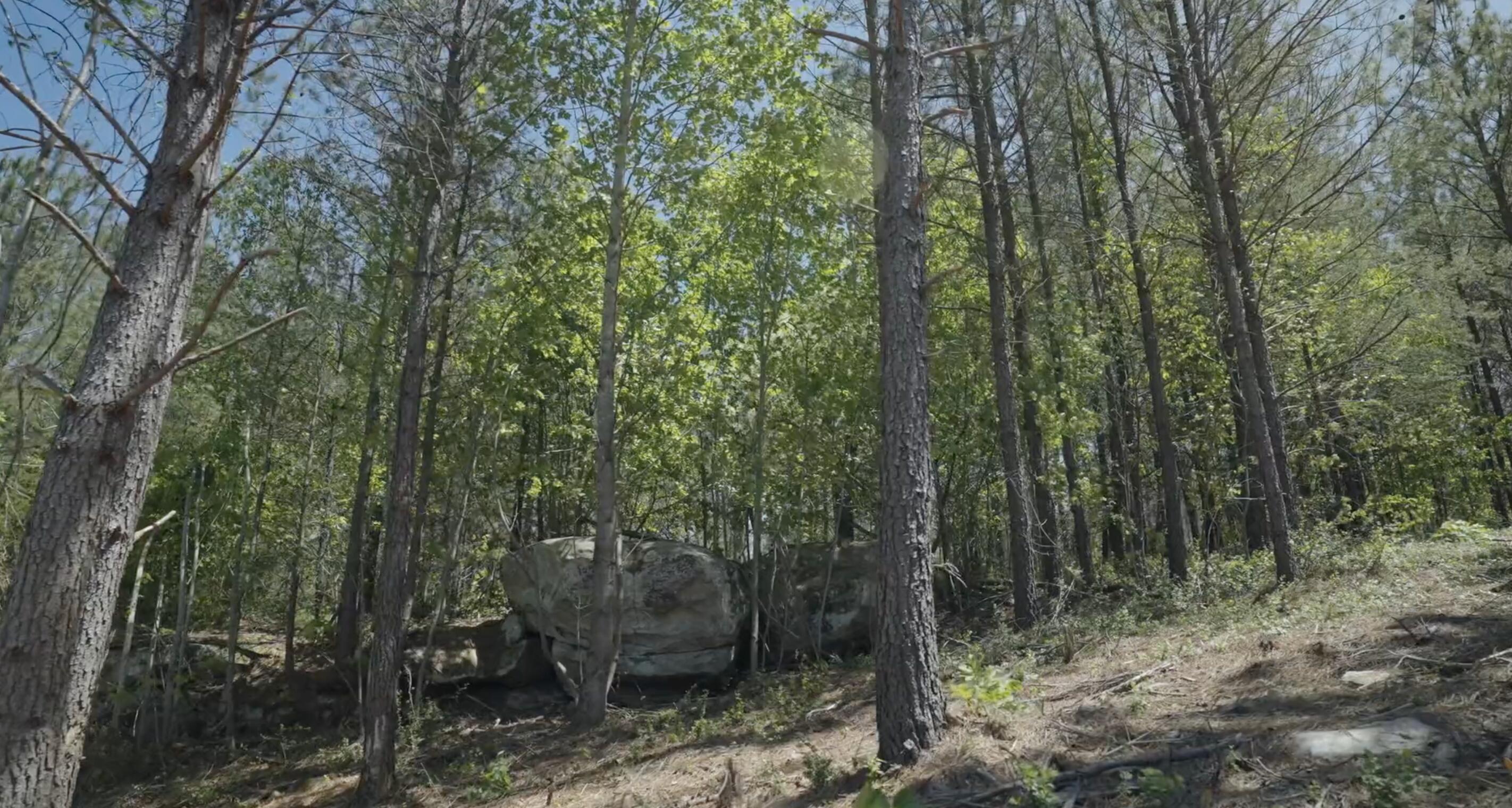 0 Worley Road, Unit LOT 4 Soddy Daisy, TN 37379 - Photo 9 of 67 Screen Shot 2025-03-28 at 12.49.54 PM