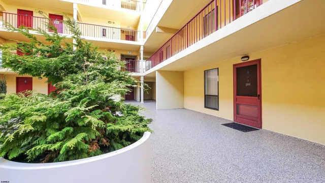 a view of a small garden