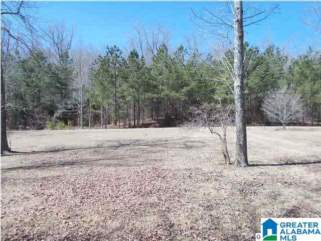 1356 County Road 3782 Arley, AL 35541 - Photo 10 of 14