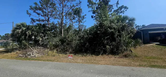 a view of a yard and a large tree