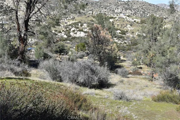 a view of a yard