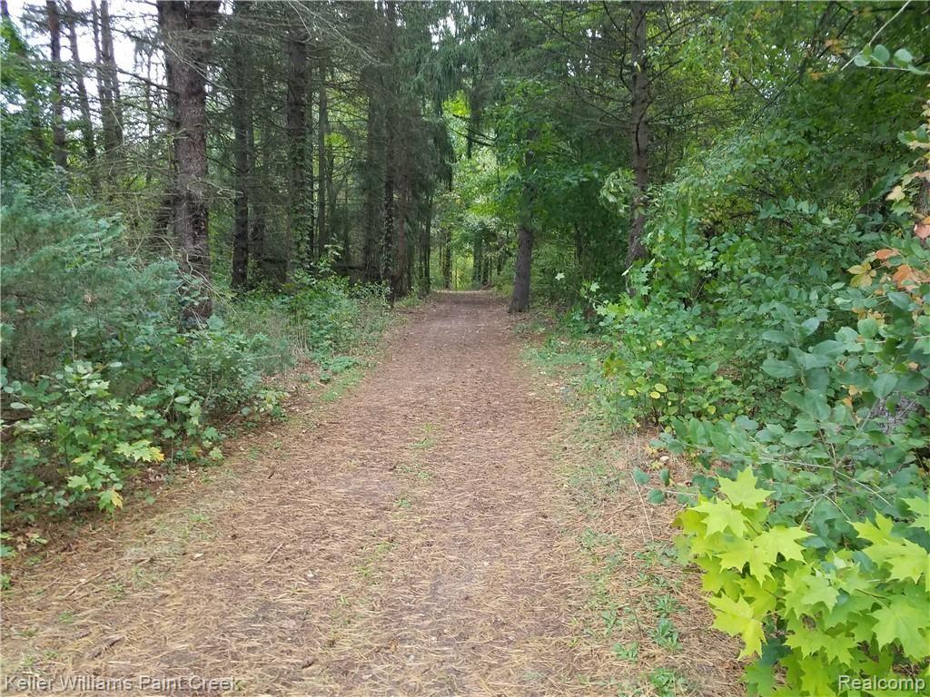 3950 Maybee Road Lake Orion, MI 48359 - Photo 29 of 33 trails.jpg