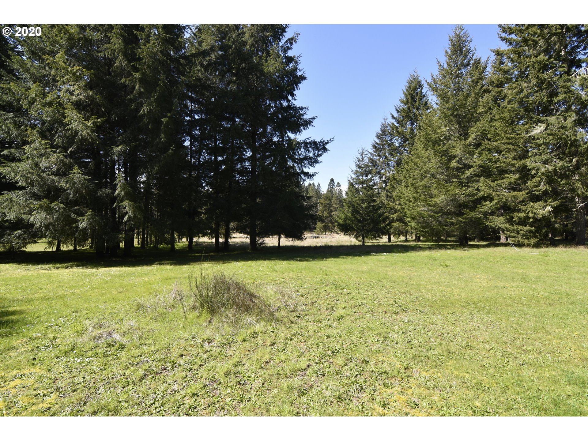89494 Demming Road Elmira, OR 97437 - Photo 18 of 22 Gallery Image 18
