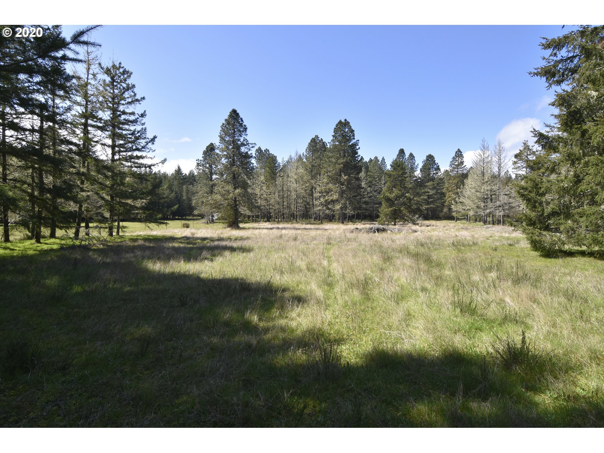 89494 Demming Road Elmira, OR 97437 - Photo 19 of 22 Gallery Image 19